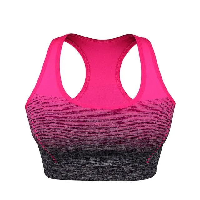 Gradient High Stretch Sports Bra